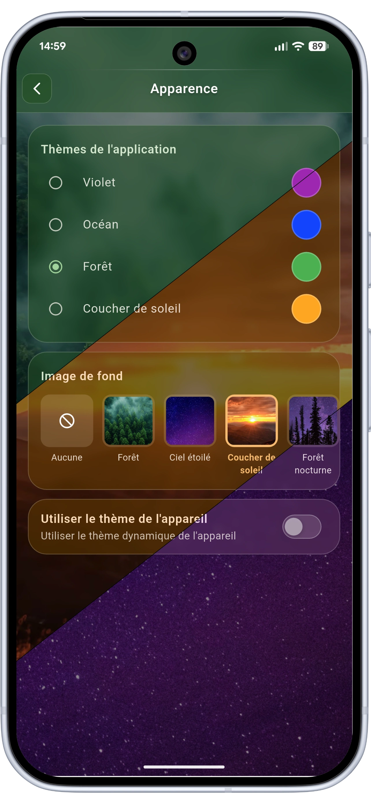 Customizable theming screen